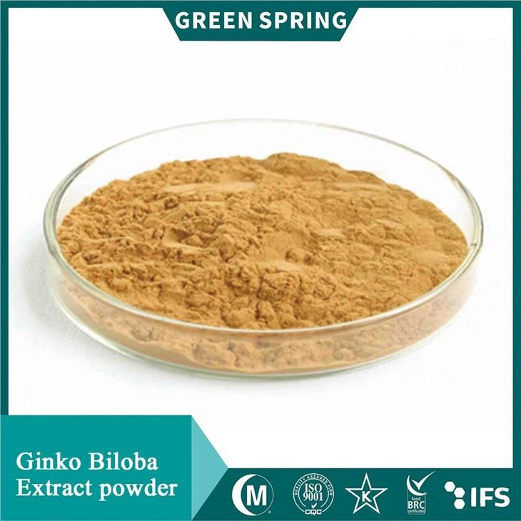 Ginko Biloba-extractpoeder